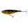 I-Fish The Duke I-Fish The Duke