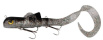 Alien Eel Shallow Alien Eel Shallow
