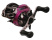 BFT Walker 4000WL BFT Walker 4000WL