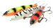 Manta Surface Skimmer 8’ Manta Surface Skimmer 8’