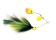 M/G Muskie Tandem - Black/Chartreuse