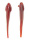 Mud Minnows 4ö, 10-pack, Rootbeer/Red Glitter Mud Minnows 4ö, 10-pack, Rootbeer/Red Glitter