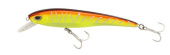 Rocket Minnow