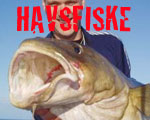 Havsfiske