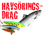 Havs�ringsdrag