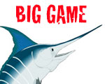 Big Game