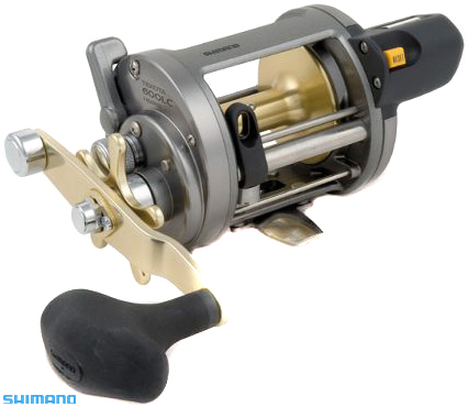 Shimano Tekota i gruppen Jerkfiske / Jerkbaitrullar hos Sportfiskeprylar.se (02913r)