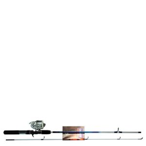 Daiwa Silvercast Combo i gruppen Fiskeset / Inkapslade set hos Sportfiskeprylar.se (20055028r)