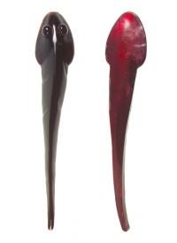 Mud Minnows 4�, 10-pack, Red Shad i gruppen Beten, Jerkbaits & Drag / Jiggar & Skallar / Bass Assassin Jigg hos Sportfiskeprylar.se (MMA50304)
