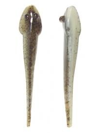 Mud Minnows 4�, 10-pack, Smoke Pearl Shad i gruppen Beten, Jerkbaits & Drag / Jiggar & Skallar / Bass Assassin Jigg hos Sportfiskeprylar.se (MMA50396)