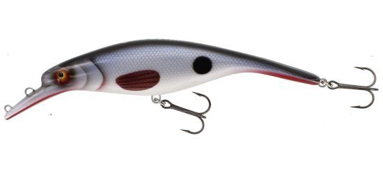 Westin Platypus 16 cm i gruppen Beten, Jerkbaits & Drag / Wobblers / Westins J�tte, Platypus m.m hos Sportfiskeprylar.se (WS17012r)