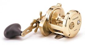 Shimano Trinidad