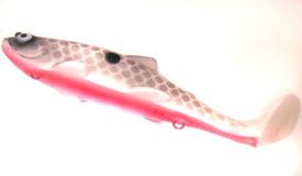 Azkikr Paddle Shallow, Mange Boy