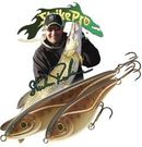 Big Bandit Shallow Signature