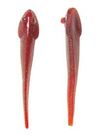 Mud Minnows 4�, 10-pack, Rootbeer/Red Glitter