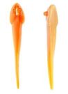 Mud Minnows 4�, 10-pack, Natural Glow