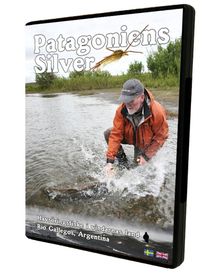 Patagoniens Silver