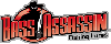 Bass Assassin Lures