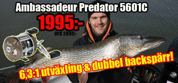 Predatorrulle Predatorrulle