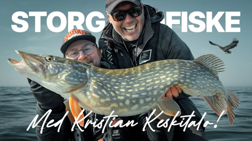 Storgäddfiske med Kristian Keskitalo