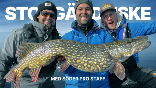 Storgäddfiske med Söder Pro Staff!