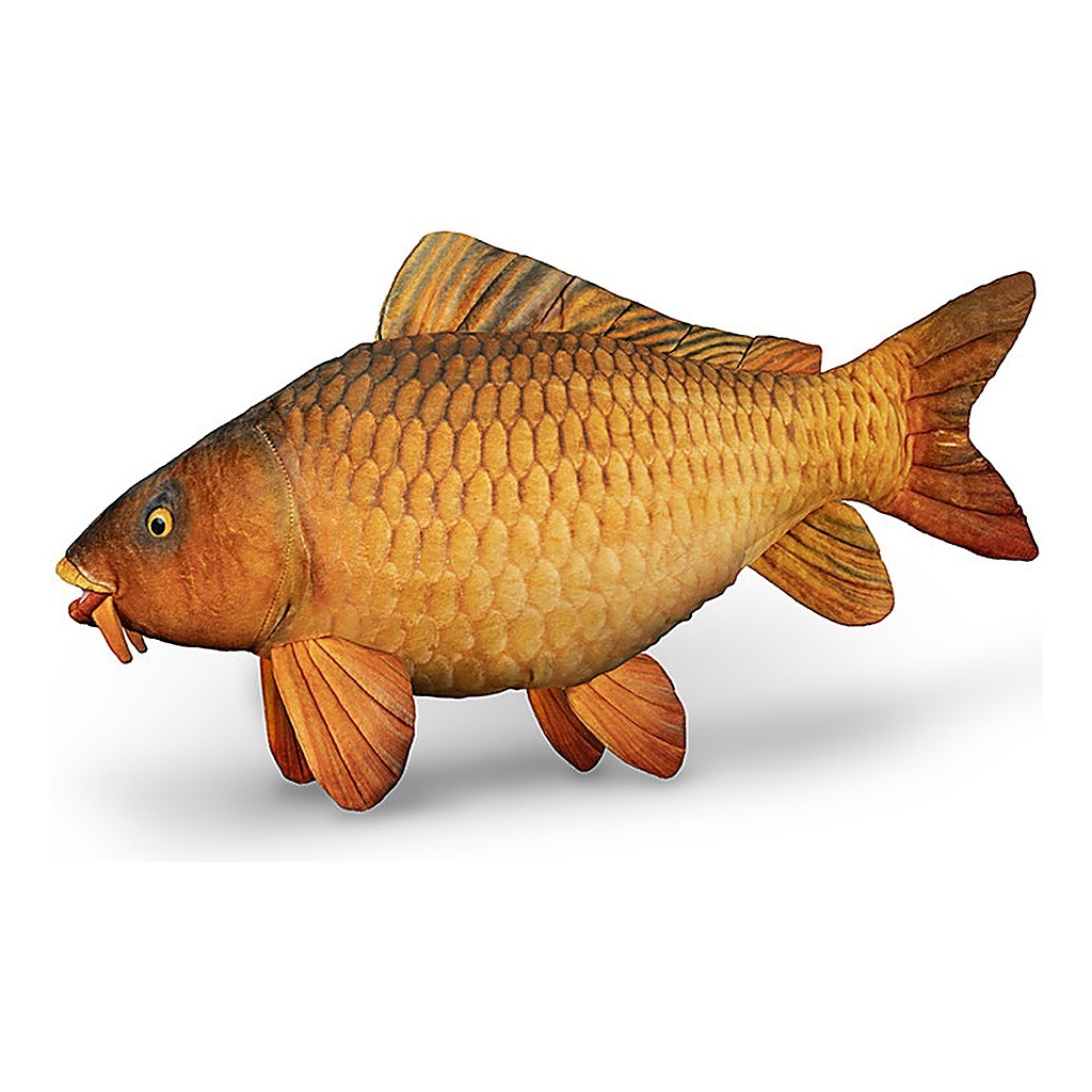 Delphin Plush Carp - 60 cm i gruppen Övrigt / Mjukisfiskar & Troféfiskar hos Sportfiskeprylar.se (101006075)