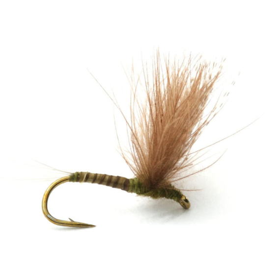 Guideline CDC Biot Comparadun Olive i gruppen Fiskedrag / Flugor / Torrflugor hos Sportfiskeprylar.se (101132GLr)