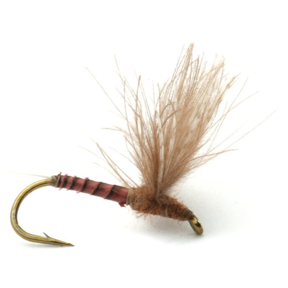 Guideline CDC Biot Comparadun Quill G #16 i gruppen Fiskedrag / Flugor / Torrflugor hos Sportfiskeprylar.se (101137GL)