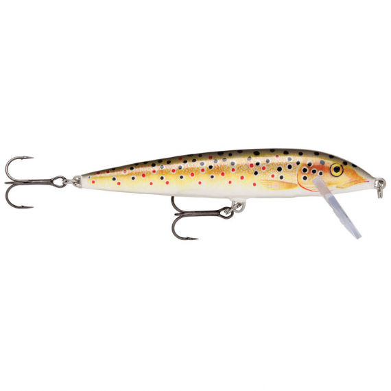 Rapala Sjunkande CD 11cm TR i gruppen Fiskedrag / Wobblers / Grundgående Wobblers hos Sportfiskeprylar.se (101154NO)