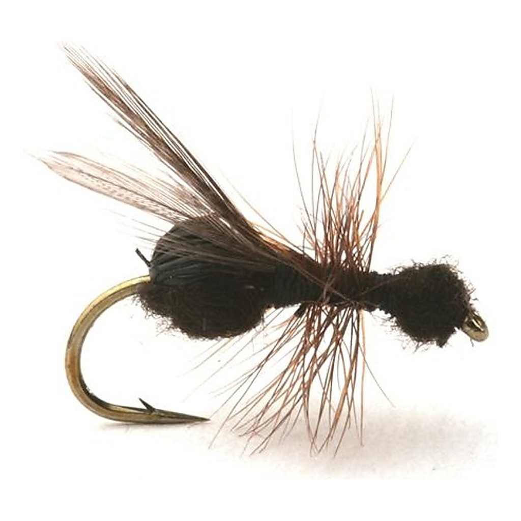 Guideline Flying Ant / Myra Black # 12 i gruppen Fiskedrag / Flugor / Torrflugor hos Sportfiskeprylar.se (101213GL)