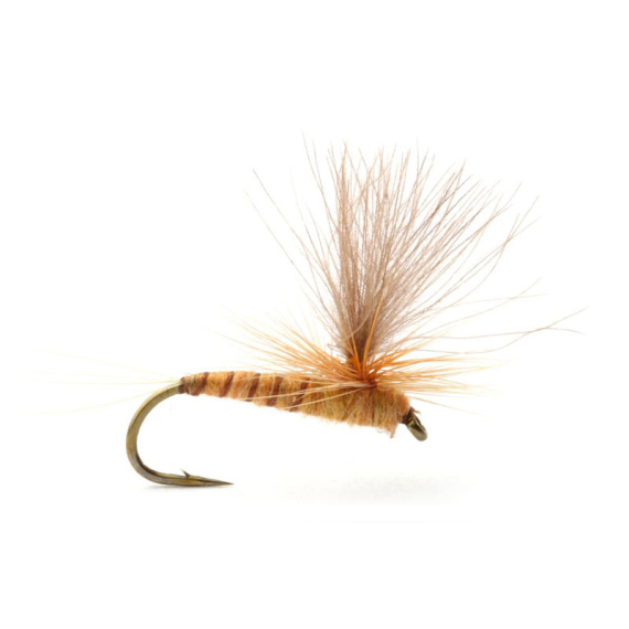 Guideline Aurivillii i gruppen Fiskedrag / Flugor / Torrflugor hos Sportfiskeprylar.se (101389GLr)