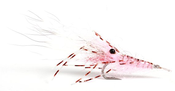 Leoshrimp Pink #6 i gruppen Fiskedrag / Flugor / Streamers hos Sportfiskeprylar.se (101619GL)