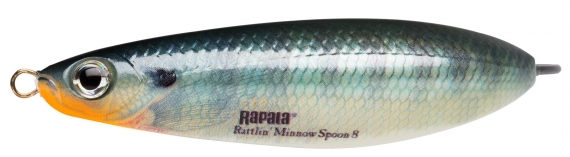 Rapala Minnow Spoon Rattlin, 8 cm, BG i gruppen Fiskedrag / Skeddrag hos Sportfiskeprylar.se (102320NO)