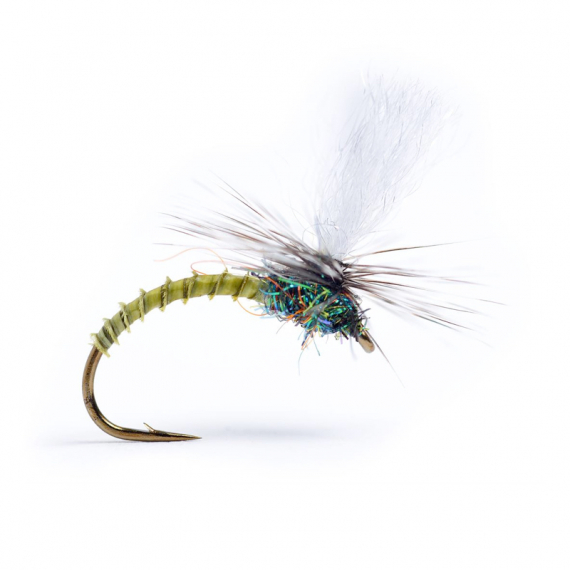 Umpqua Klinkhammer Light Olive Biot i gruppen Fiskedrag / Flugor / Torrflugor hos Sportfiskeprylar.se (104814GLr)