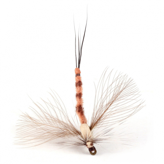 Guideline GL Danica Spent Spinner #10 i gruppen Fiskedrag / Flugor / Torrflugor hos Sportfiskeprylar.se (106226GL)