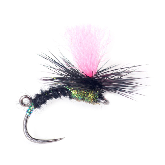 Guideline Indi Black Klink #12 i gruppen Fiskedrag / Flugor / Torrflugor hos Sportfiskeprylar.se (107101GL)