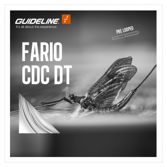 Guideline Fario CDC DT i gruppen Fiskelinor / Flugfiskelinor / Enhandslinor hos Sportfiskeprylar.se (107438GLr)