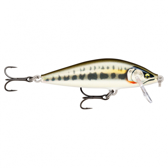Rapala CountDown Elite 5,5cm - GDMN i gruppen Fiskedrag / Wobblers / Grundgående Wobblers hos Sportfiskeprylar.se (126556NO)