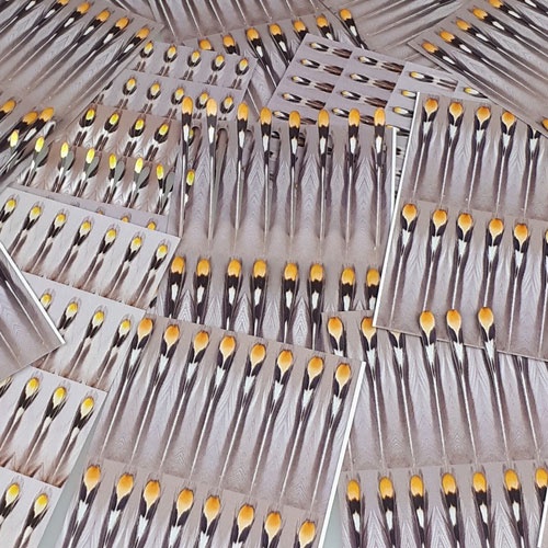 FutureFly Artificial Jungle Cock i gruppen Krok & Småplock / Flugbindning / Flugbindningsmaterial / Ögon hos Sportfiskeprylar.se (1465-001r)