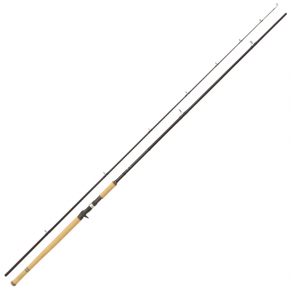 Abu Garcia Salmon Seeker 12\' 50-150g Casting i gruppen Fiskespön / Spinnspön hos Sportfiskeprylar.se (1528632)
