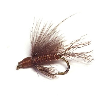 CDC Caddis Emerger Brown # 16 i gruppen Fiskedrag / Flugor / Torrflugor hos Sportfiskeprylar.se (16058-BRWN-16)