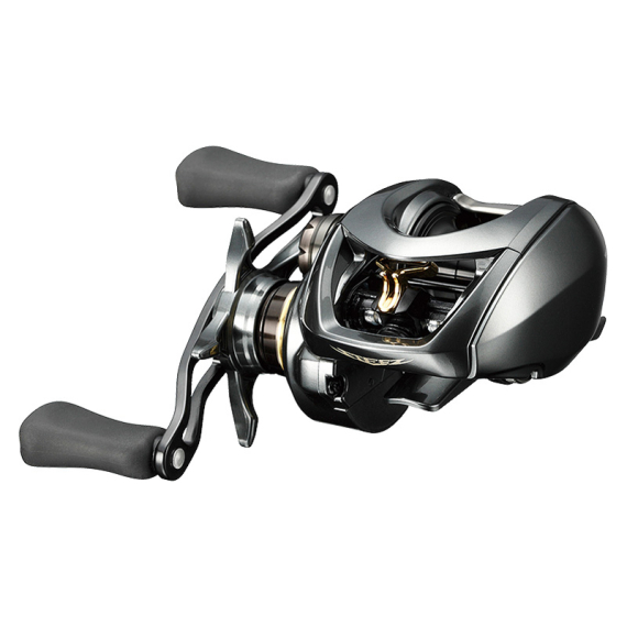 Daiwa STEEZ CT SV TW 700 i gruppen Fiskerullar / Multirullar / Lågprofilrullar hos Sportfiskeprylar.se (211533r)