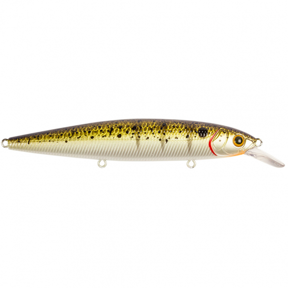 Strike Pro Bold, 11cm, 15g i gruppen Fiskedrag / Wobblers hos Sportfiskeprylar.se (29-EG191ASPr)