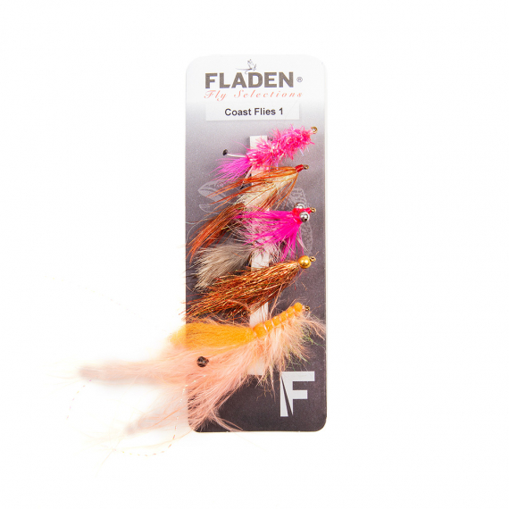 Fladen Maxximus Flies 5-pack Coast 1 i gruppen Fiskedrag / Flugor / Flugpaket hos Sportfiskeprylar.se (34-2002)