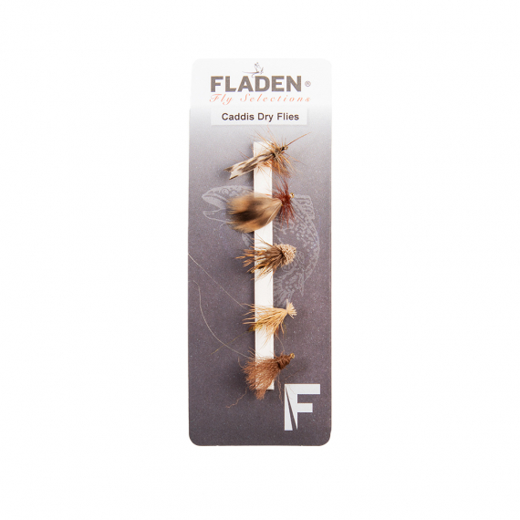 Fladen Maxximus Flies 5-pack Caddis Dry i gruppen Fiskedrag / Flugor / Torrflugor hos Sportfiskeprylar.se (34-2005)