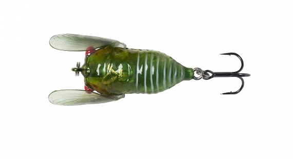 Savage Gear 3D Cicada 33mm 3,5g Floating, Green i gruppen Fiskedrag / Ytbeten & Poppers hos Sportfiskeprylar.se (61989)