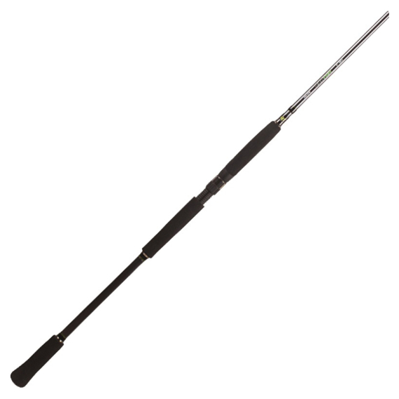 BFT Raptor G2 Pike Spin 8\' -100g, 2pcs Haspel i gruppen Fiskespön / Haspelspön hos Sportfiskeprylar.se (75-BFT-R2SP80-2)