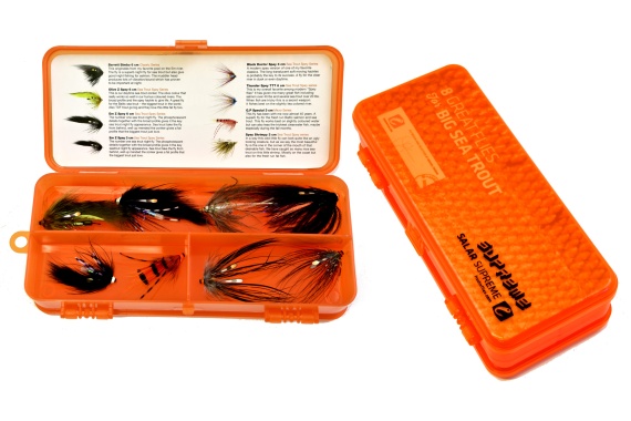 Frödin 8 Great Flies for Big Sea Trout i gruppen Fiskedrag / Flugor / Laxflugor hos Sportfiskeprylar.se (8GF-9BST)