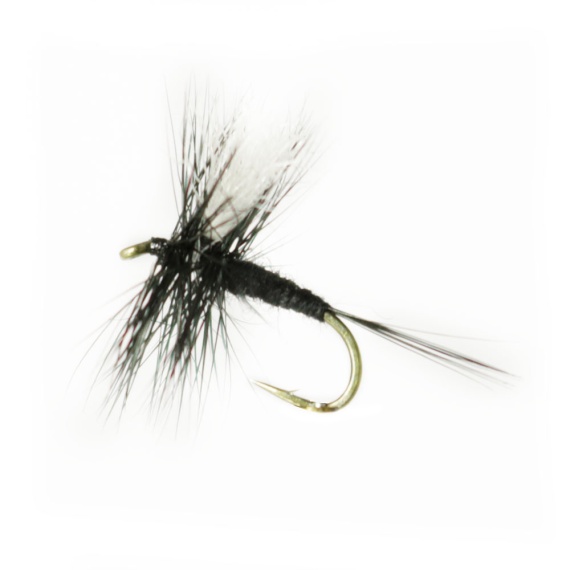 Black Gnat # 16 i gruppen Fiskedrag / Flugor / Torrflugor hos Sportfiskeprylar.se (F30-1035-16)