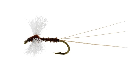 Vespertina Spinner Biot Brown TMC100 i gruppen Fiskemetoder / Flugfiske / Flugor / Torrflugor hos Sportfiskeprylar.se (FL32125r)